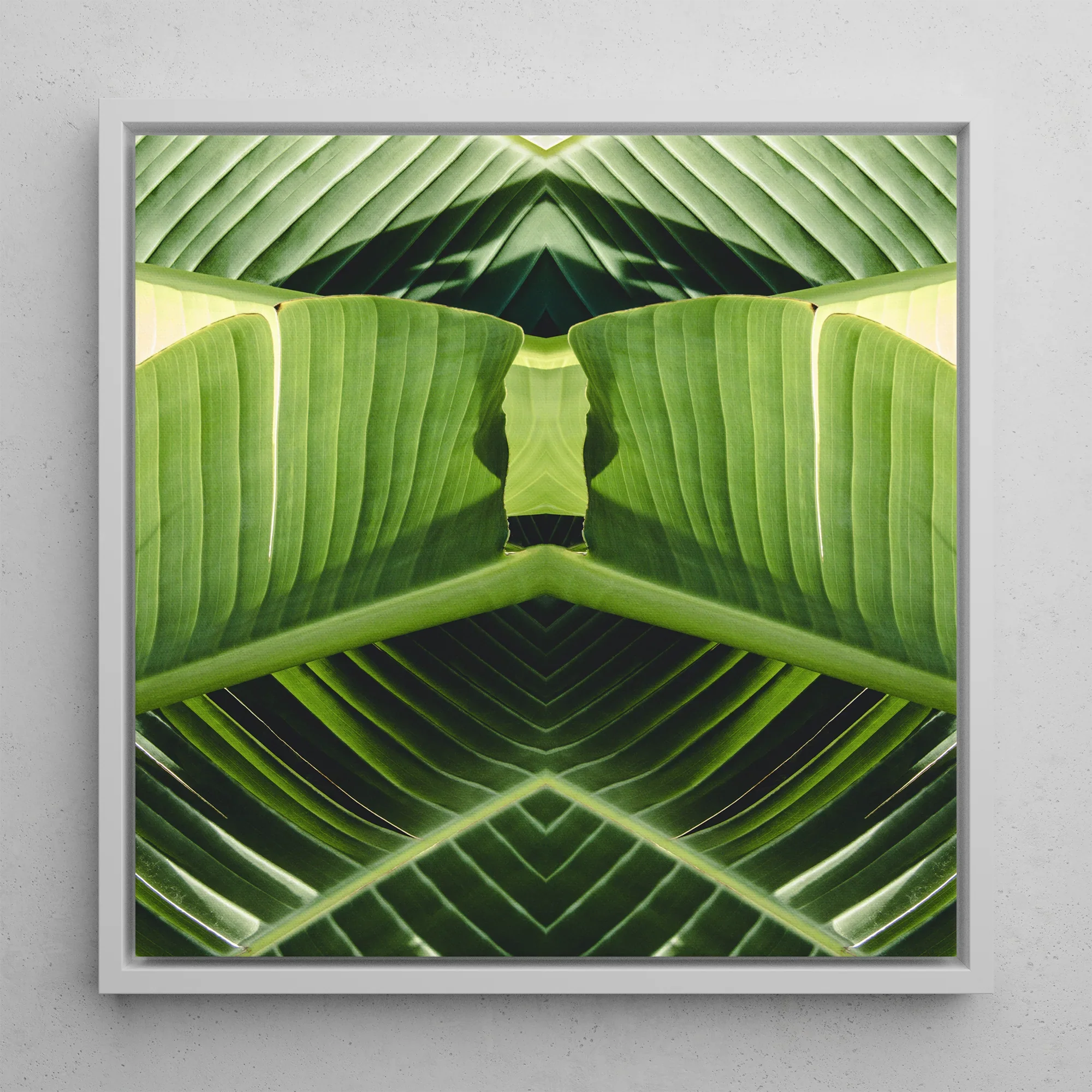 Semaphore - Palm Frond Op Art Framed Canvas, Symmetrical Green Leaf Pattern White Frame