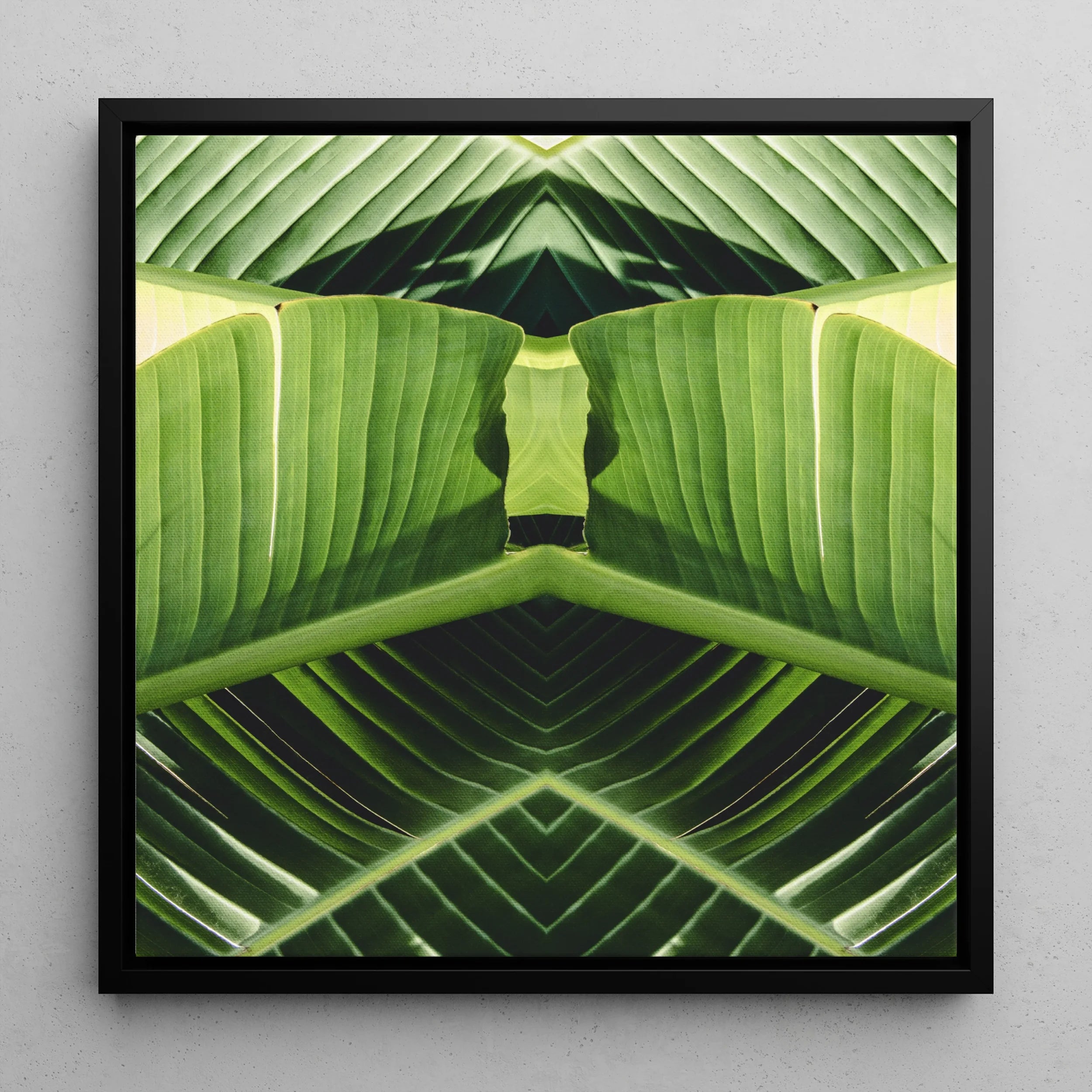 Semaphore - Palm Frond Op Art Framed Canvas Posters Prints & Visual Artwork