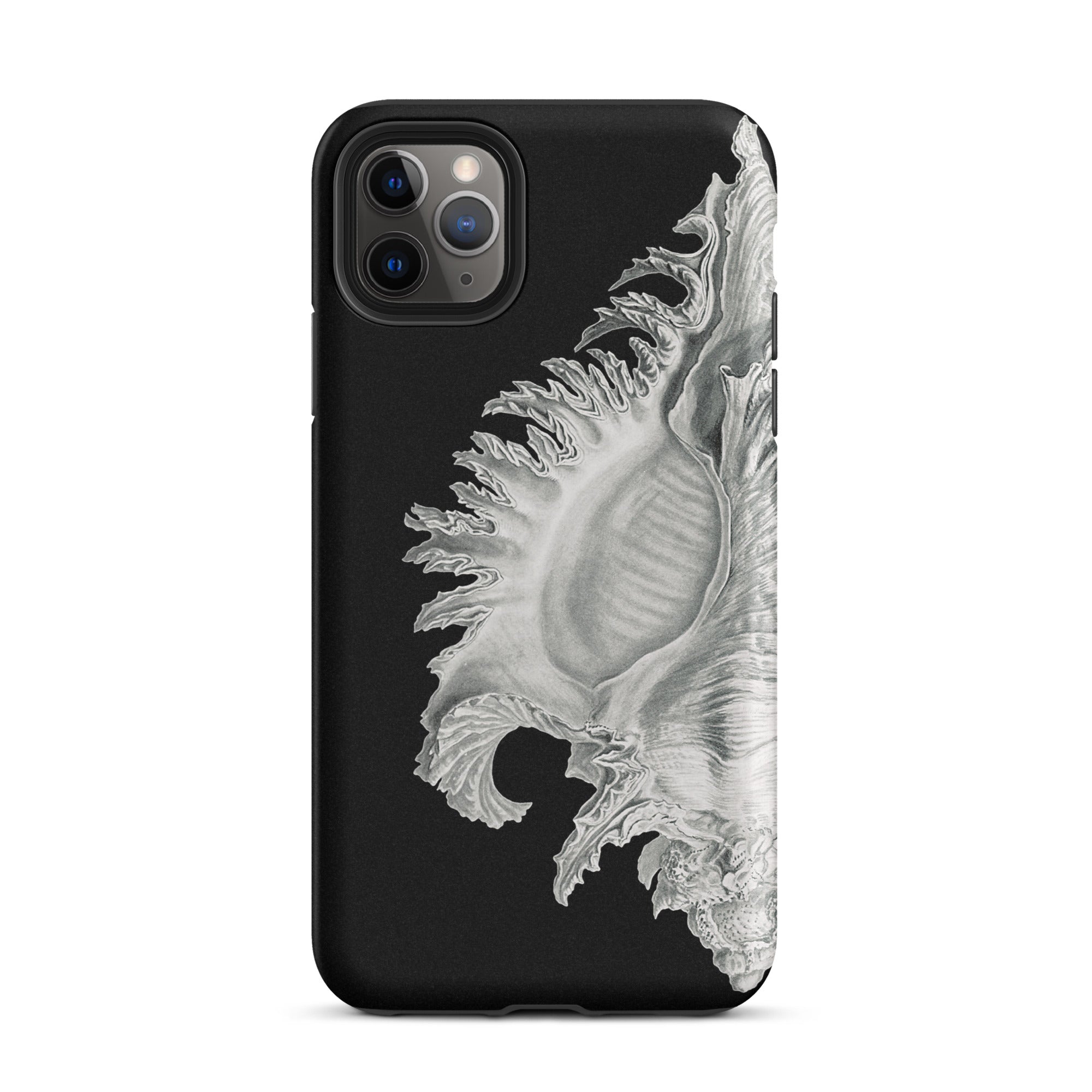 Shell Ernst Haeckel Black & White Sea Life Iphone Case, 11 Pro Max / Matte, Black Phone Case Seashell Design