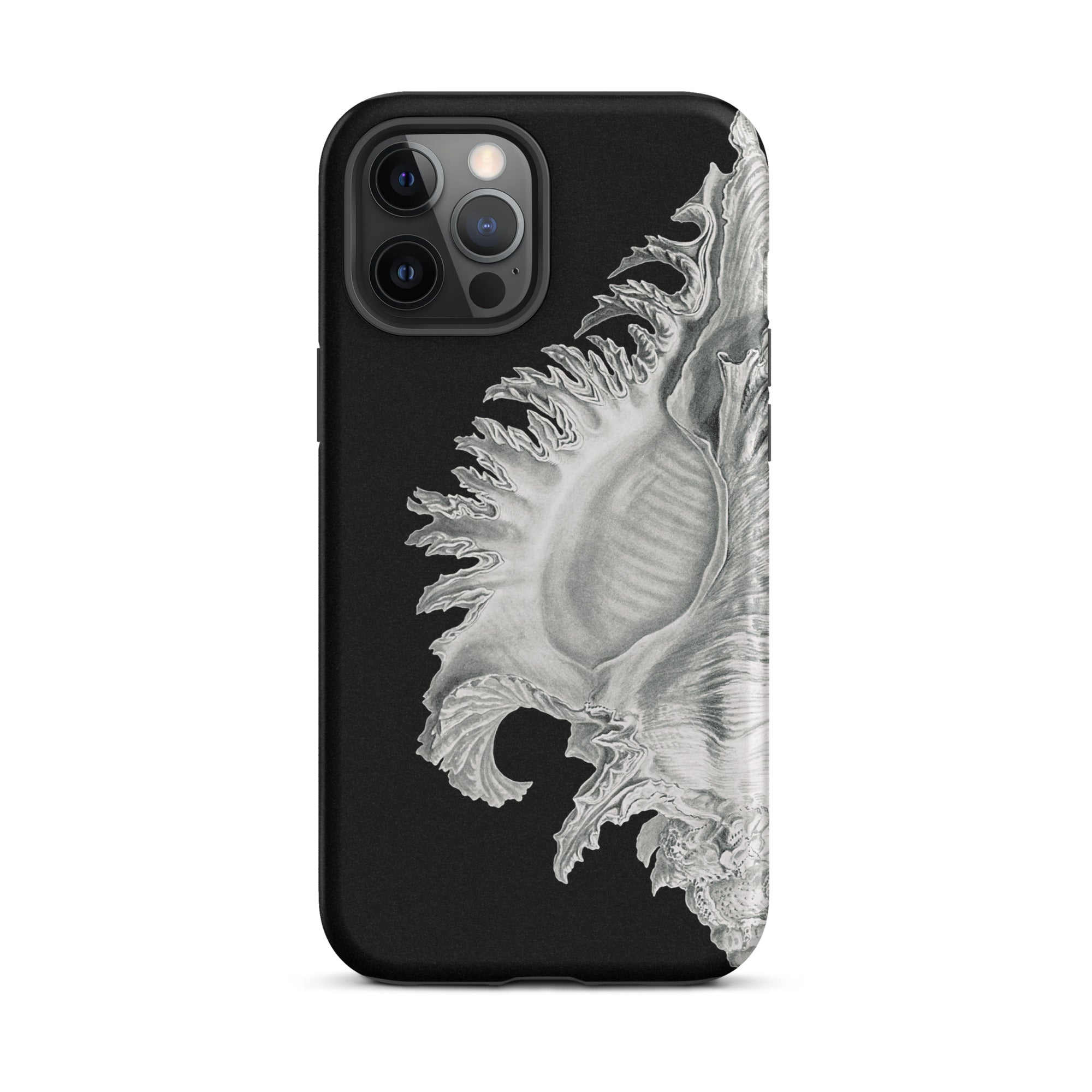 Shell Ernst Haeckel Black & White Sea Life Iphone Case, 12 Pro Max / Matte, Black Phone Case Seashell Design