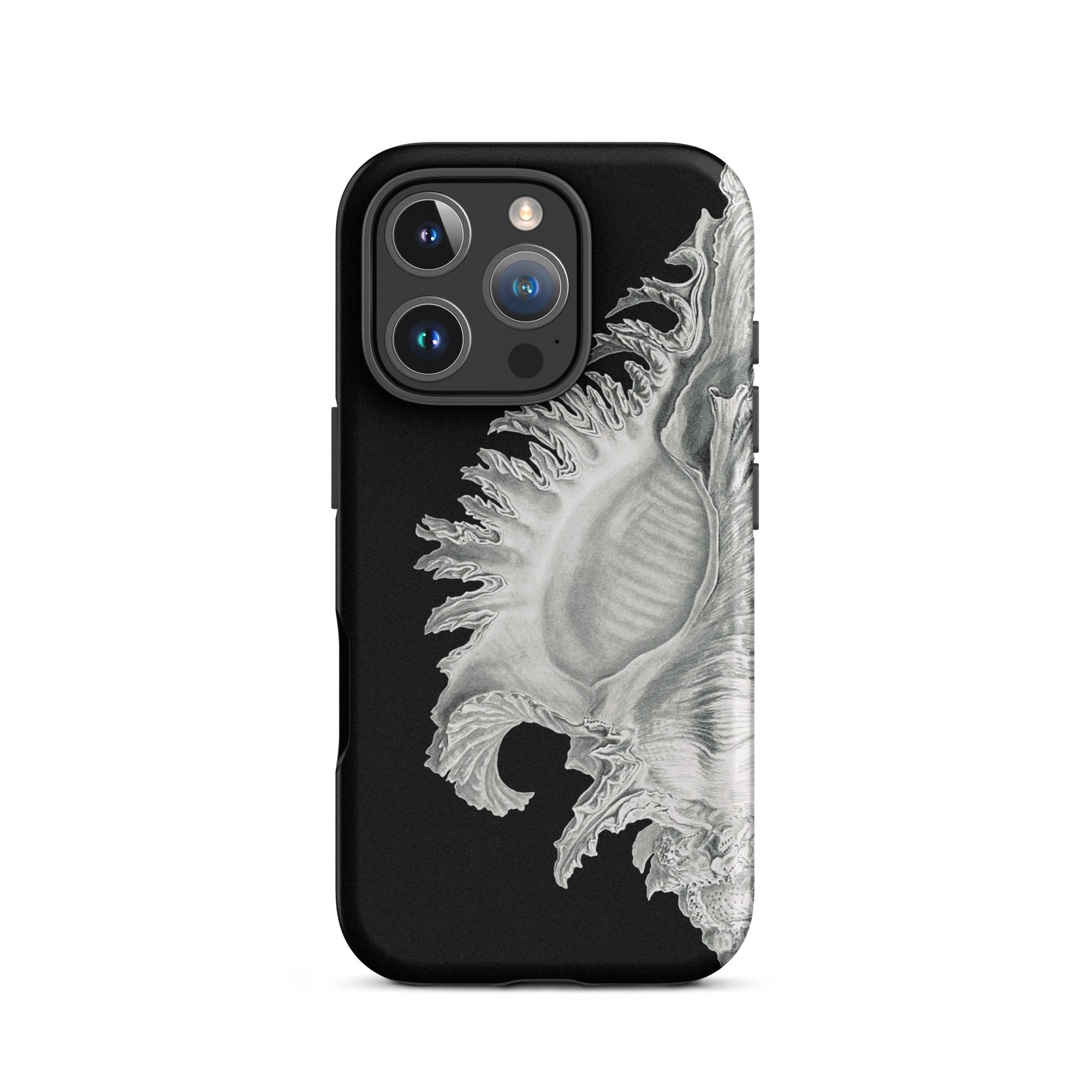 Shell Ernst Haeckel Black & White Sea Life Iphone Case, 16 Pro / Matte, Black Phone Case Seashell Design