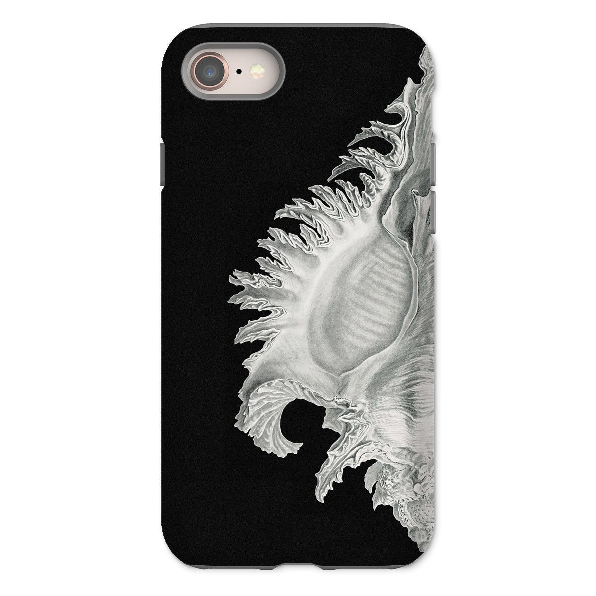 Shell Ernst Haeckel Black & White Sea Life Iphone Case, 8 / Matte, Black Phone Case Seashell Design