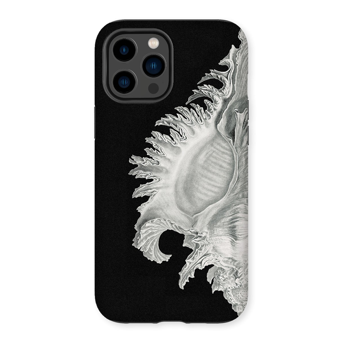 Shell - Ernst Haeckel Black & White Sea Life Iphone Case, 14 Pro Max / Matte, Kite-791226182, Black Phone Case Seashell