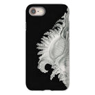 Shell - Ernst Haeckel Black & White Sea Life Iphone Case - 8 / Matte