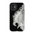 Shell - Ernst Haeckel Black & White Sea Life Iphone Case - 12 Mini / Matte