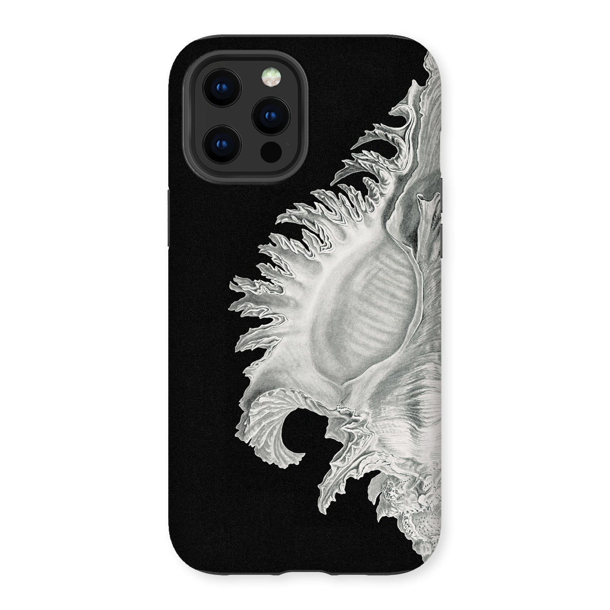 Shell - Ernst Haeckel Black & White Sea Life Iphone Case - 12 Pro Max / Matte