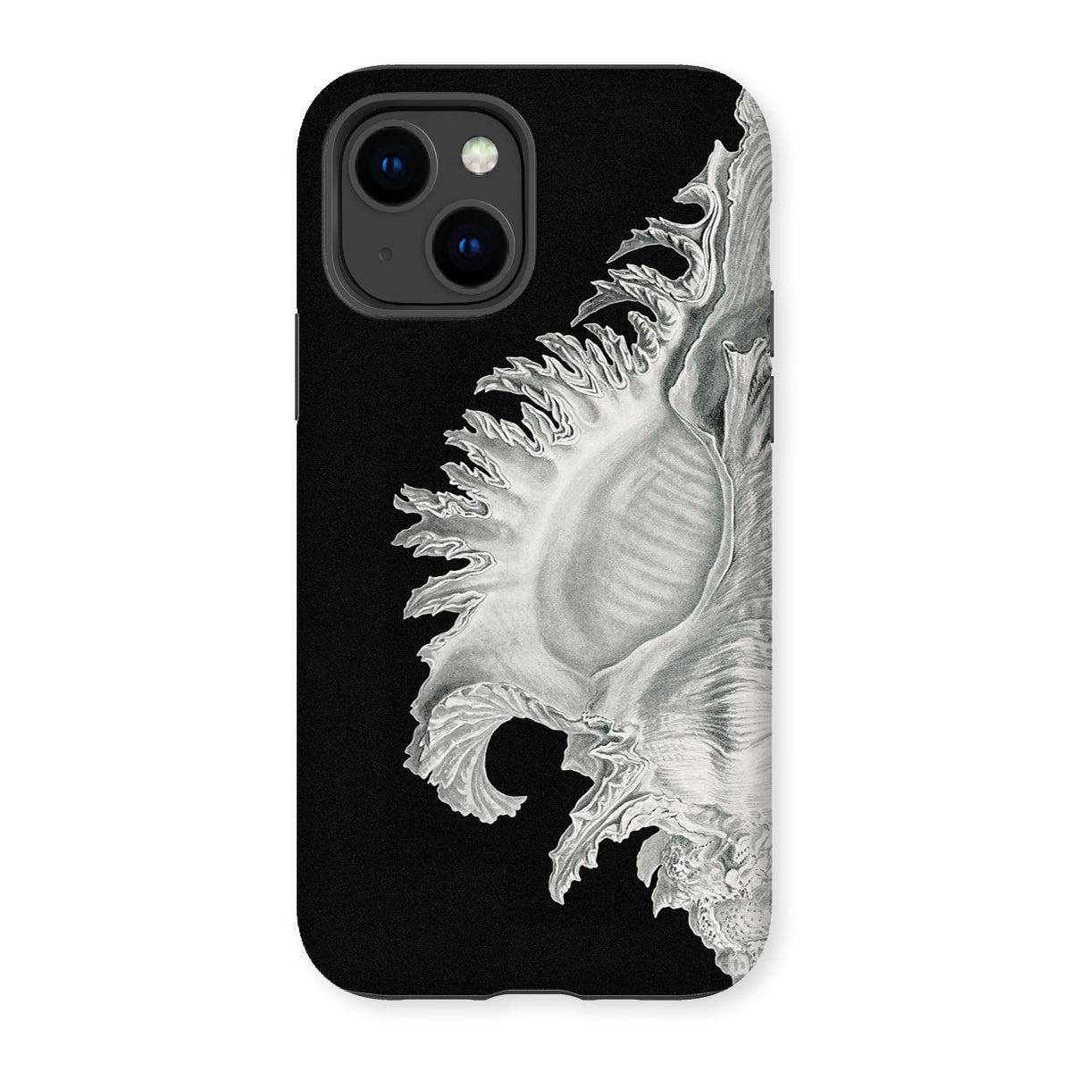 Shell - Ernst Haeckel Black & White Sea Life Iphone Case