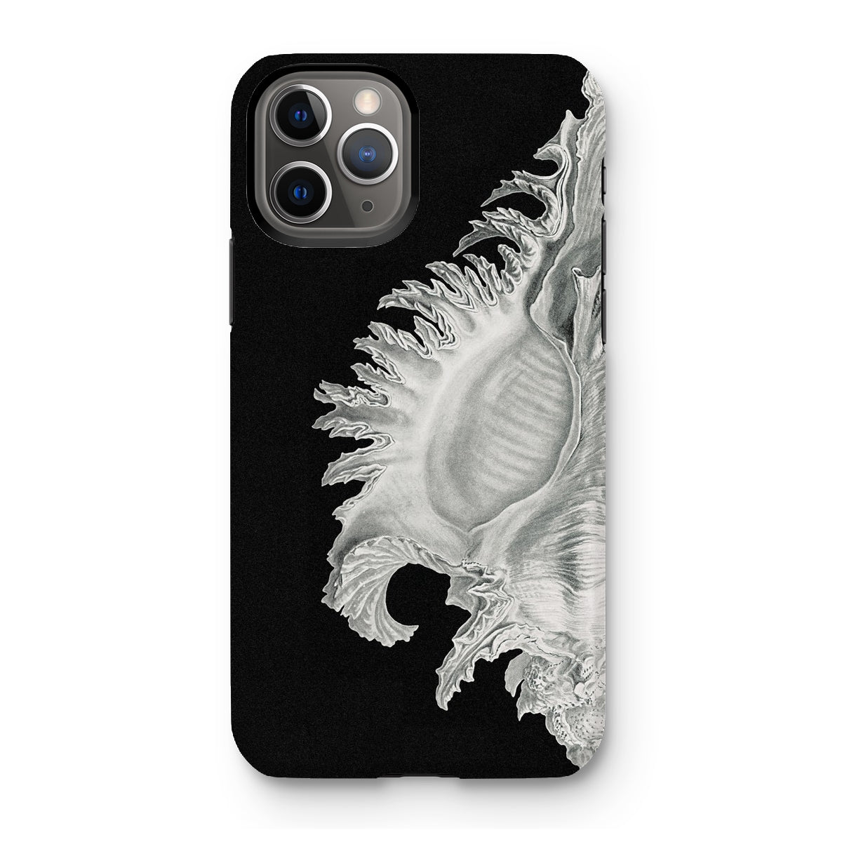 Shell - Ernst Haeckel Black & White Sea Life Iphone Case - 11 Pro / Matte