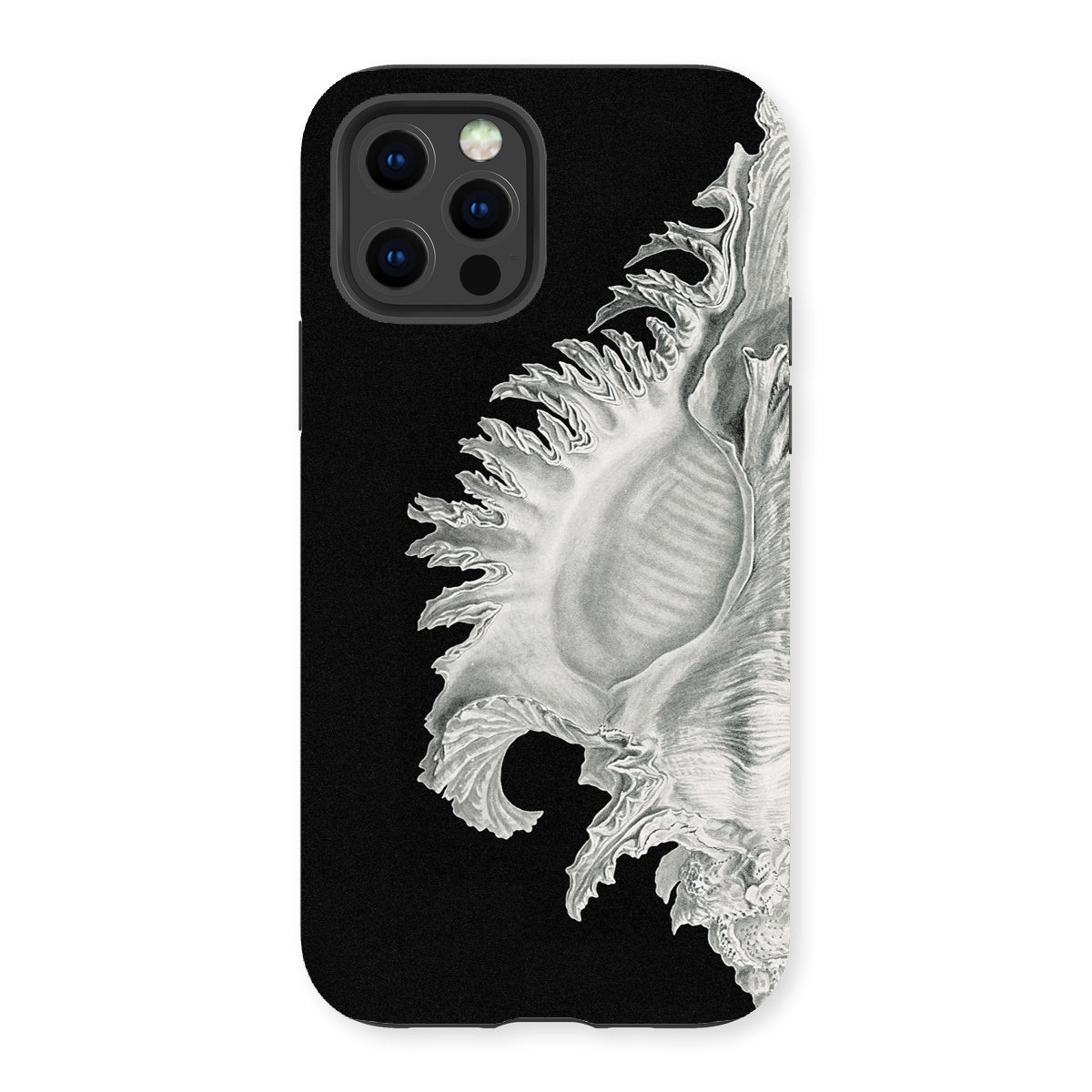 Shell - Ernst Haeckel Black & White Sea Life Iphone Case - 13 Pro / Matte