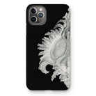 Shell - Ernst Haeckel Black & White Sea Life Iphone Case - 11 Pro Max / Matte