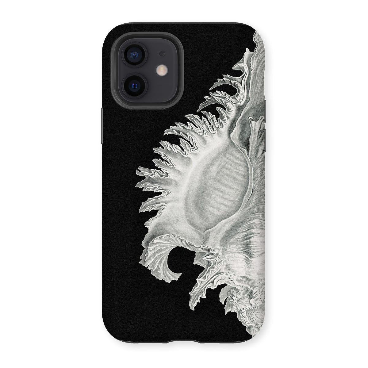 Shell - Ernst Haeckel Black & White Sea Life Iphone Case - 12 / Matte