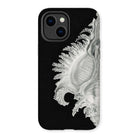 Shell - Ernst Haeckel Black & White Sea Life Iphone Case - 14 Plus / Matte