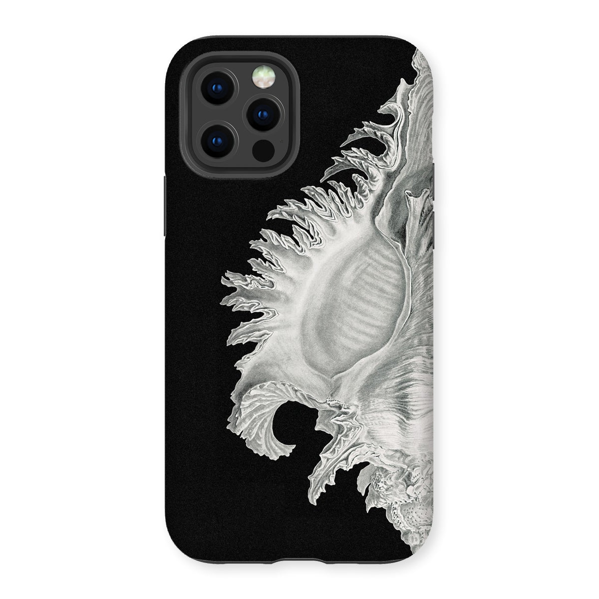 Shell - Ernst Haeckel Black & White Sea Life Iphone Case - 12 Pro / Matte