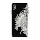 Shell - Ernst Haeckel Black & White Sea Life Iphone Case - Xs Max / Matte