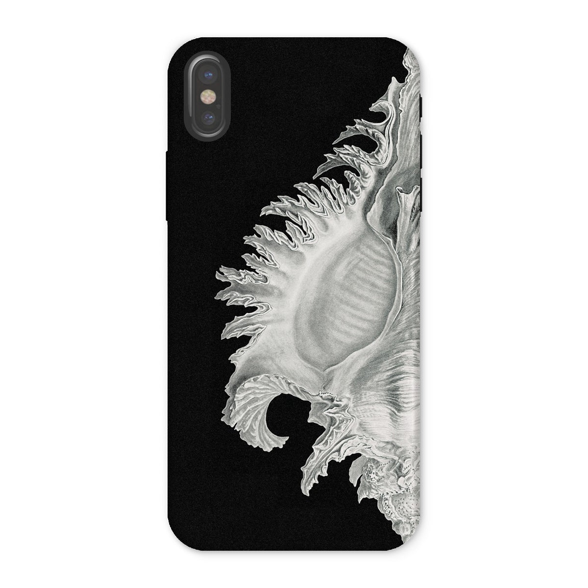 Shell Ernst Haeckel Black & White Sea Life Iphone Case, x / Matte, Black Phone Case Seashell Design
