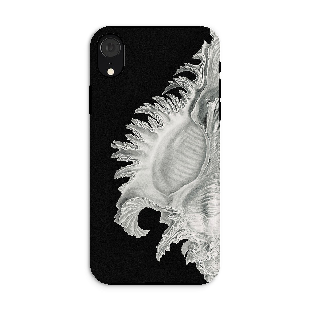 Shell Ernst Haeckel Black & White Sea Life Iphone Case, Xr / Matte, Black Phone Case Seashell Design