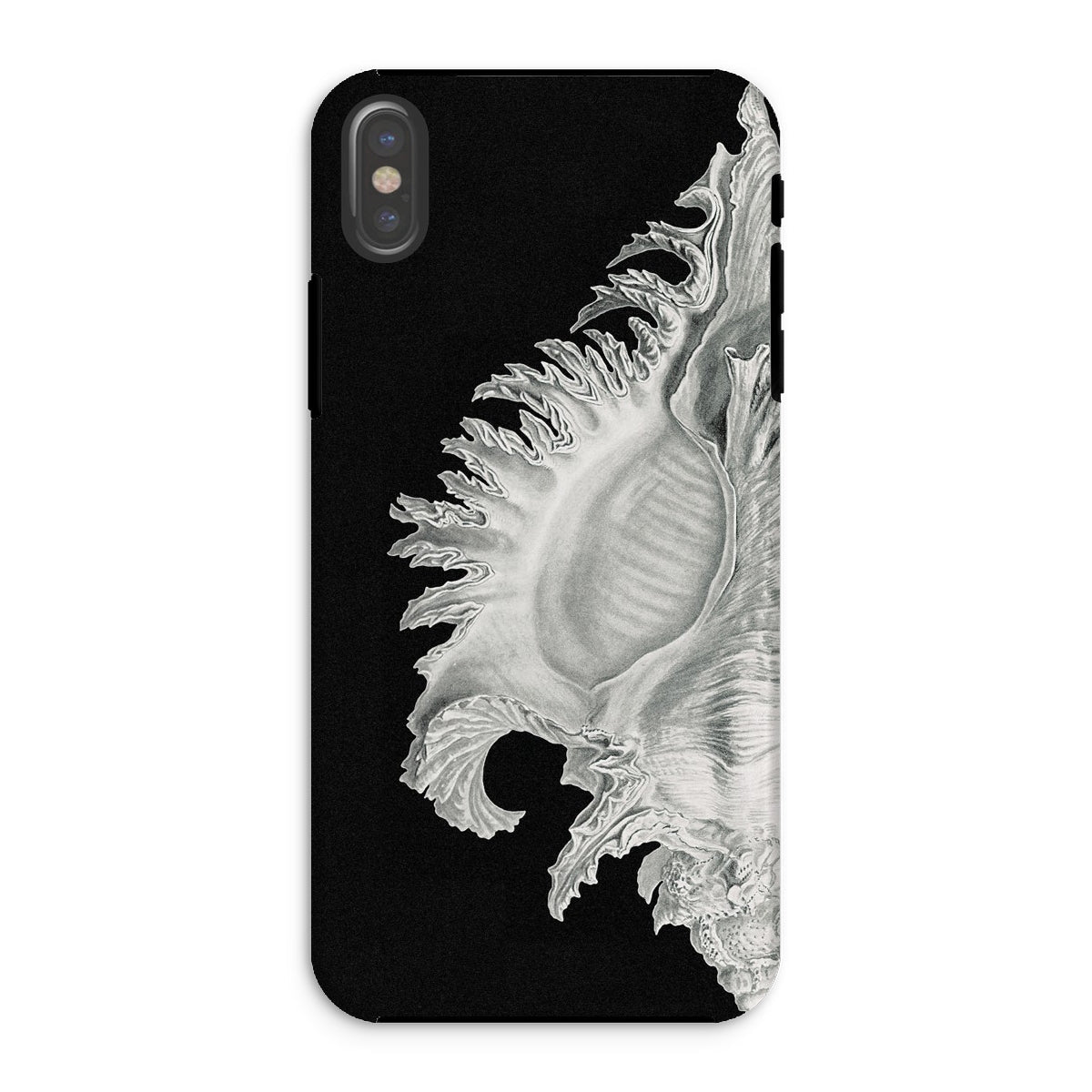 Shell Ernst Haeckel Black & White Sea Life Iphone Case, Xs / Matte, Black Phone Case Seashell Design