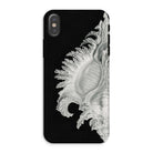 Shell Ernst Haeckel Black & White Sea Life Iphone Case, Xs / Matte, Black Phone Case Seashell Design
