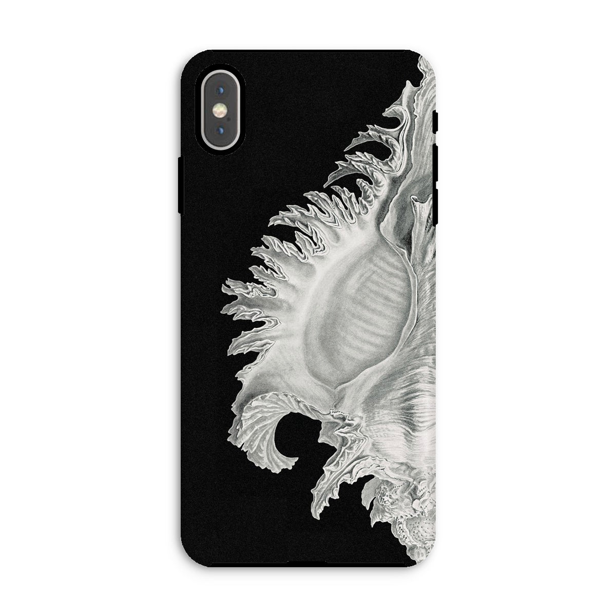 Shell Ernst Haeckel Black & White Sea Life Iphone Case, Xs Max / Matte, Black Phone Case Seashell Design