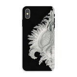 Shell - Ernst Haeckel Black & White Sea Life Iphone Case, Xs Max / Matte, Black Phone Case Seashell Design