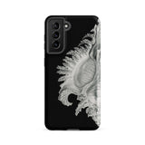 Shell - Ernst Haeckel Black & White Sea Life Phone Case Samsung Galaxy S21 Fe / Matte Black Phone Case Detailed Silver-gray Illustration