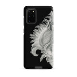 Shell - Ernst Haeckel Black & White Sea Life Phone Case Samsung Galaxy S20 Plus / Matte Black Phone Case Detailed Silver-gray Illustration