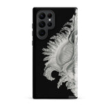 Shell - Ernst Haeckel Black & White Sea Life Phone Case Samsung Galaxy S22 Ultra / Matte Black Phone Case Detailed Silver-toned