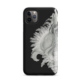 Shell - Ernst Haeckel Black & White Sea Life Phone Case Iphone 11 Pro Max / Matte Black Phone Case Seashell Design Ernst Haeckel Shell,