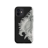 Shell - Ernst Haeckel Black & White Sea Life Phone Case Iphone 12 / Matte Black Phone Case Seashell Design Ernst Haeckel Shell, Black, Slow
