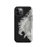 Shell - Ernst Haeckel Black & White Sea Life Phone Case Iphone 12 Pro / Matte Black Phone Case Seashell Design Ernst Haeckel Shell, Black,