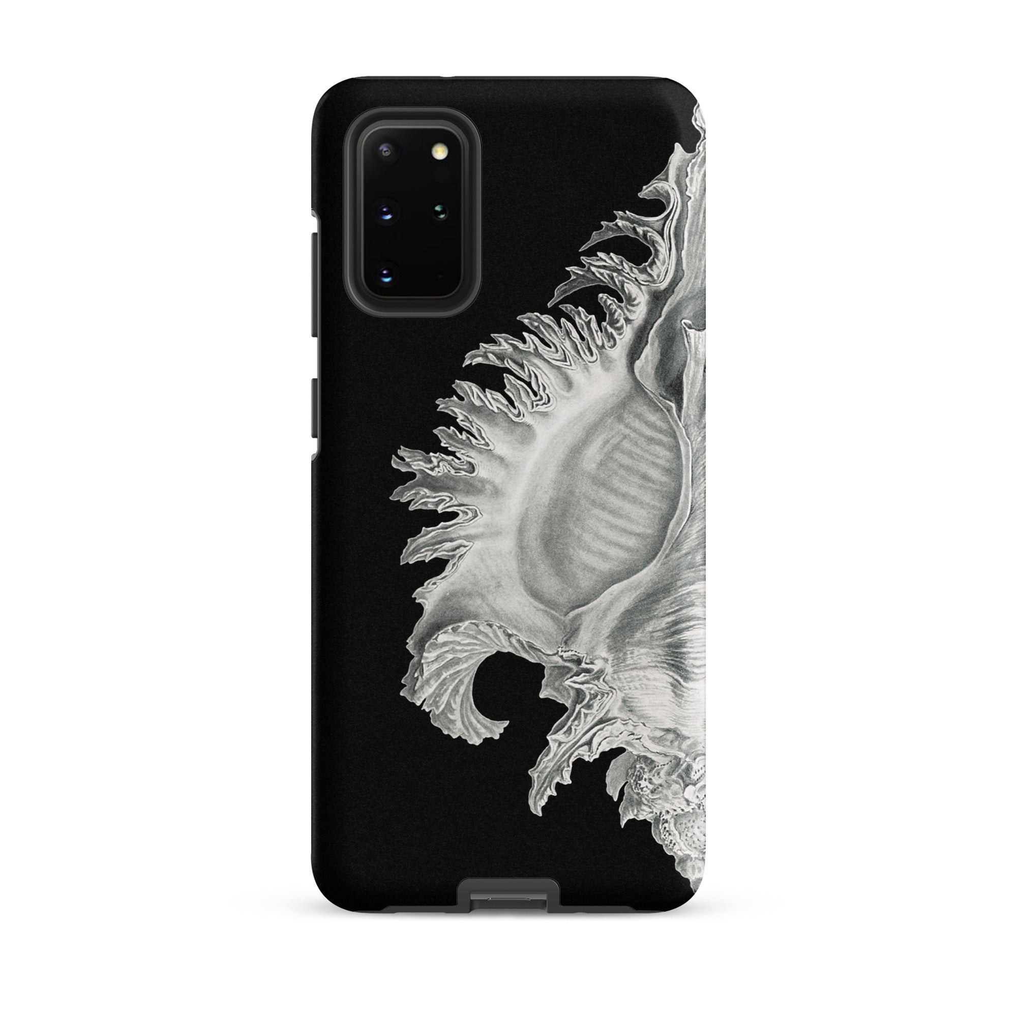 Shell Ernst Haeckel Black & White Sea Life Samsung Case, Galaxy S20 Plus / Matte, Black Phone Case White Seashell Design