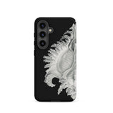 Shell - Ernst Haeckel Black & White Sea Life Samsung Case, Galaxy S24 / Matte, Black Phone Case White Seashell Design