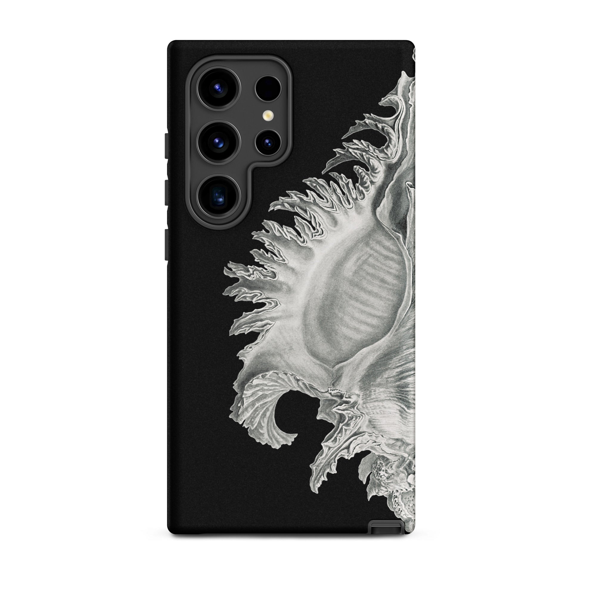 Shell Ernst Haeckel Black & White Sea Life Samsung Case, Galaxy S24 Ultra / Matte, Black Phone Case Detailed White Seashell Design