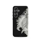 Shell - Ernst Haeckel Black & White Sea Life Samsung Case, Galaxy S25 / Matte, Black Phone Case Detailed White Seashell Design