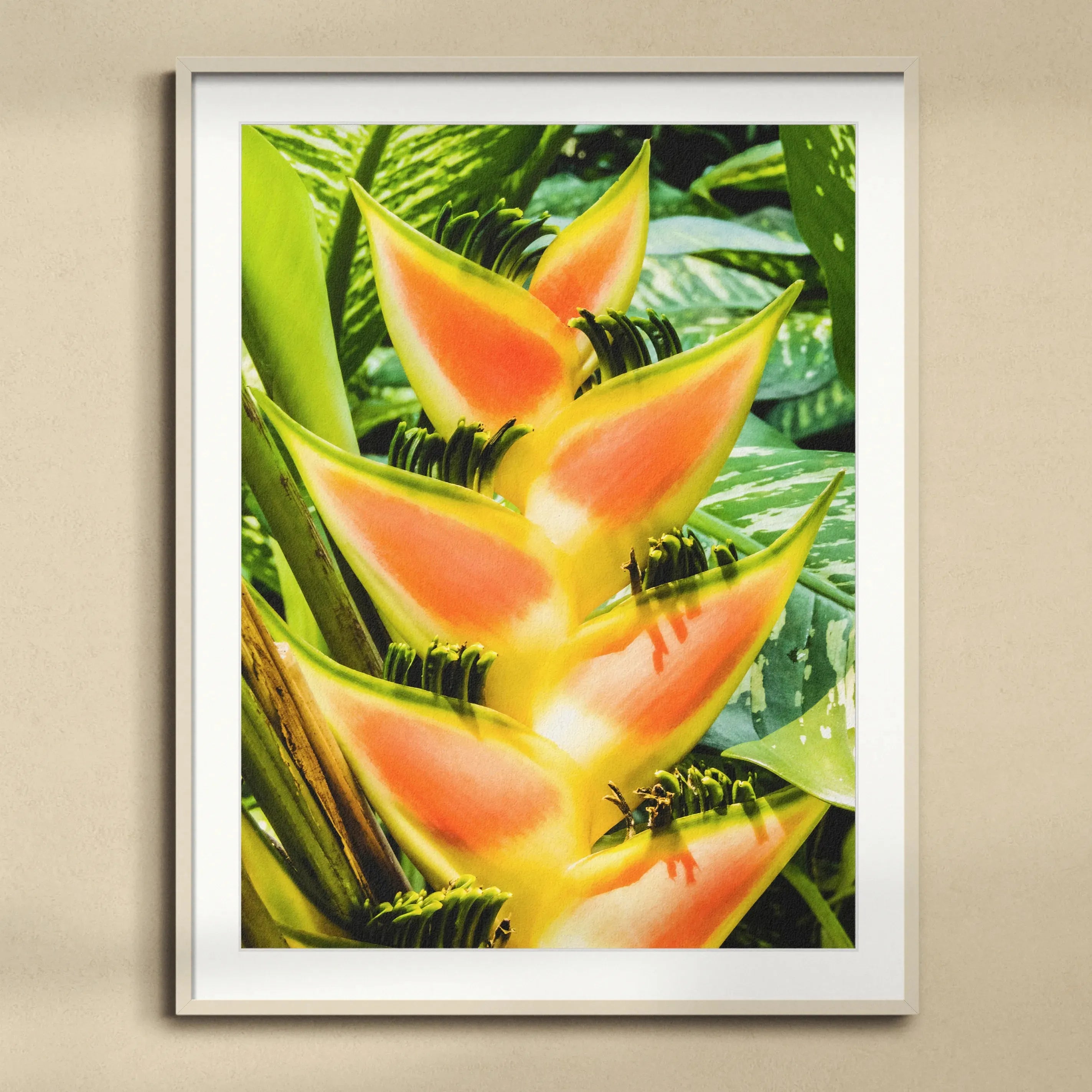 Showstopper Framed & Mounted Print - Posters Prints & Visual Artwork - Aesthetic Art