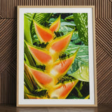 Heliconia Lobster Claw art print, framed, vibrant colors.