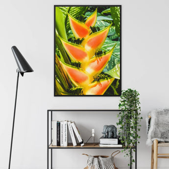 Showstopper - Heliconia Lobster Claw Framed Canvas, Framed Photograph Vibrant Orange Yellow Heliconia Flowers Green