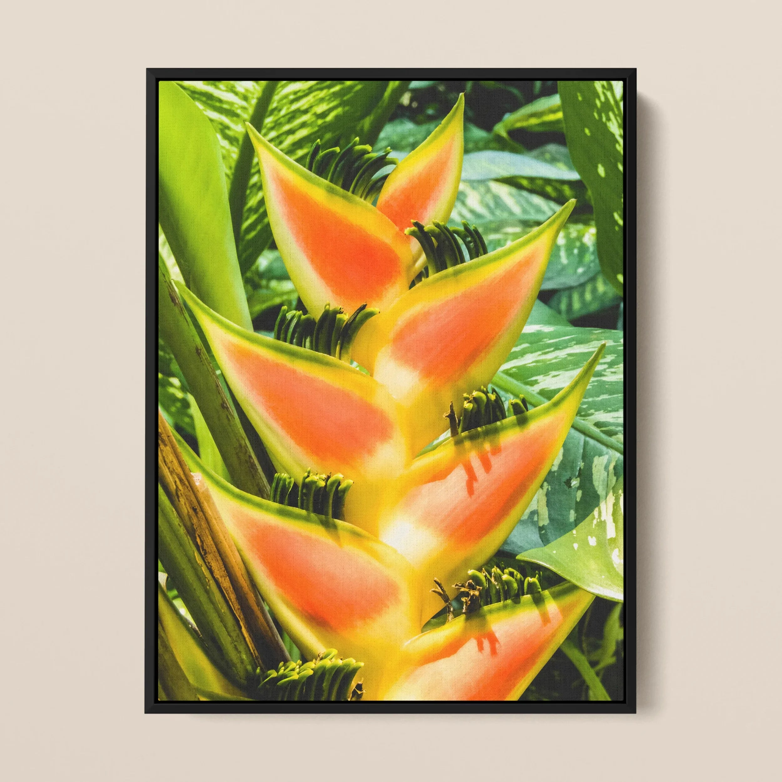 Showstopper - Heliconia Lobster Claw Framed Canvas Posters Prints & Visual Artwork