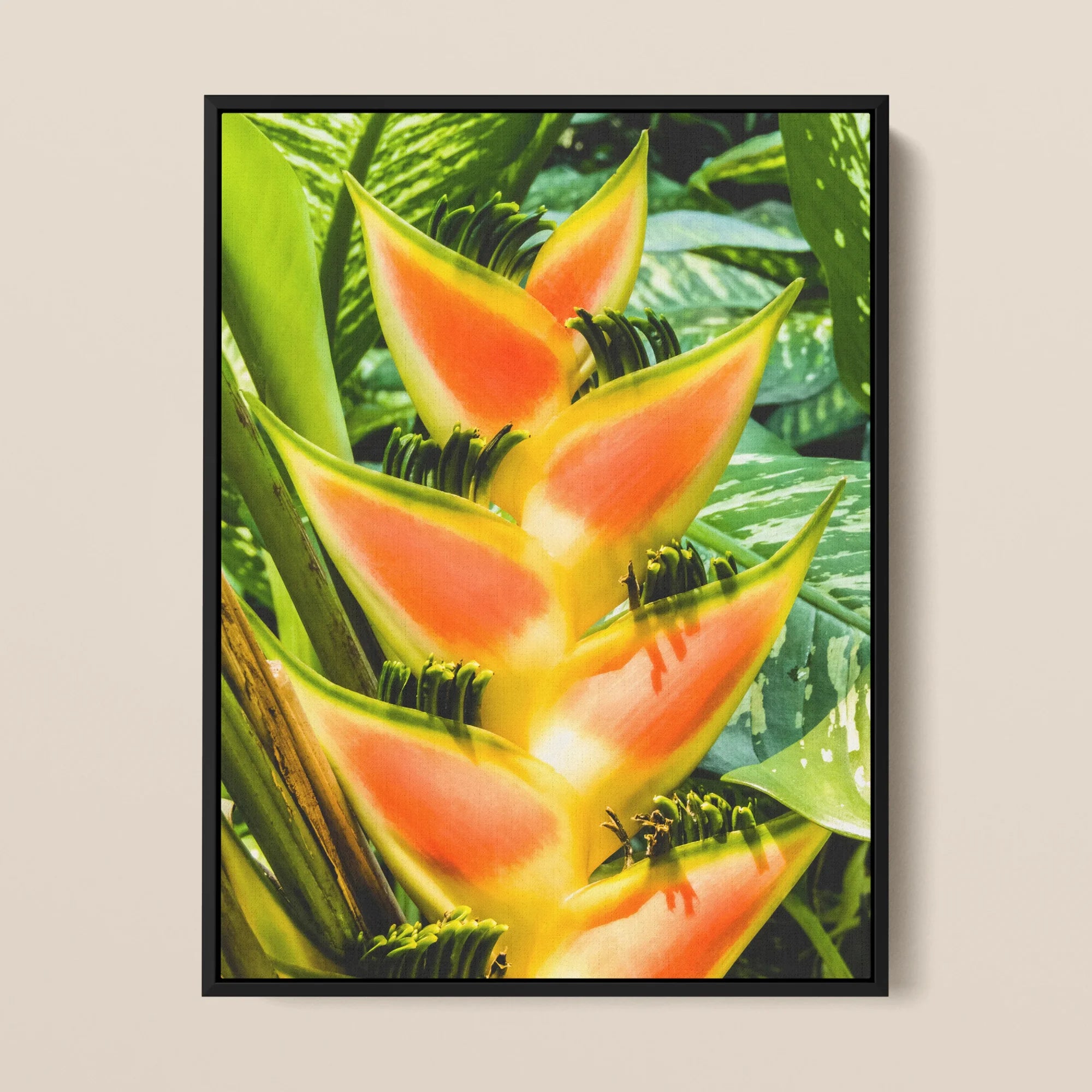 Showstopper - Heliconia Lobster Claw Framed Canvas, Vibrant Orange Yellow Heliconia Flower Pointed Bracts Green