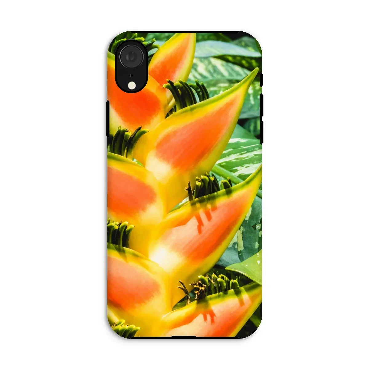 Showstopper - Heliconia Lobster Claw Iphone Case Xr / Matte Mobile Phone Cases