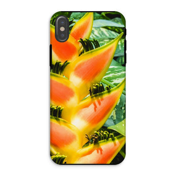 Showstopper - Heliconia Lobster Claw Iphone Case Xs / Matte Phone Case Vibrant Tropical Flower Heliconia Lobster Claw Claw, Flower, Iphone