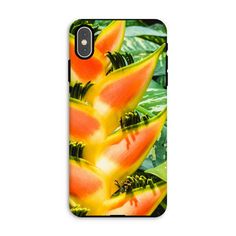 Showstopper - Heliconia Lobster Claw Iphone Case, Xs Max / Matte, Phone Case Vibrant Tropical Flower Design Heliconia Bird-of-paradise