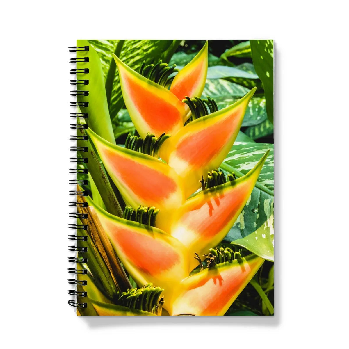 Showstopper Notebook - A5 - Graph Paper - Notebooks & Notepads - Aesthetic Art