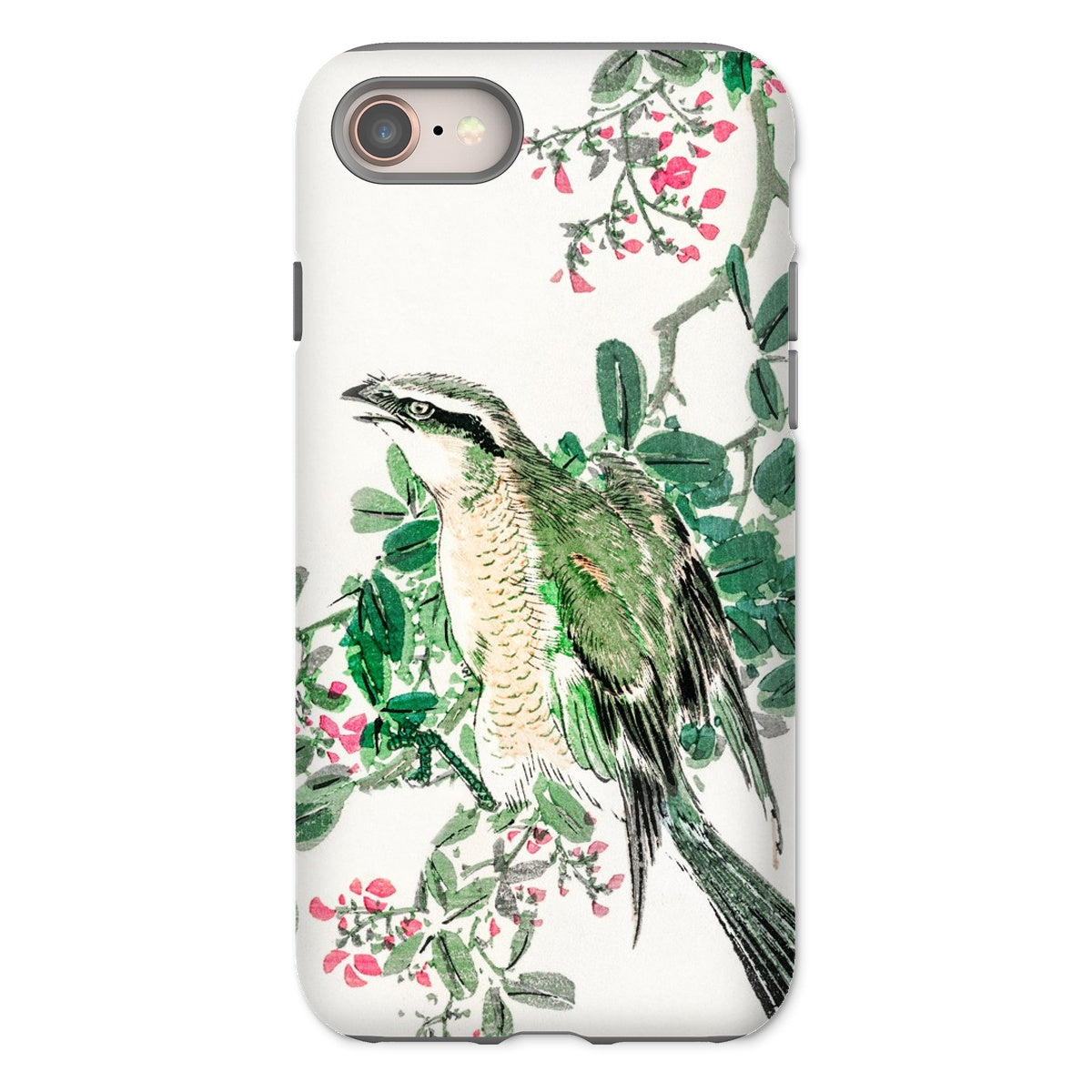 Shrike and Clover Numata Kashu Meiji Iphone Case, 8 / Matte, Phone Case Watercolor Style Painting Bird Perched Among Green