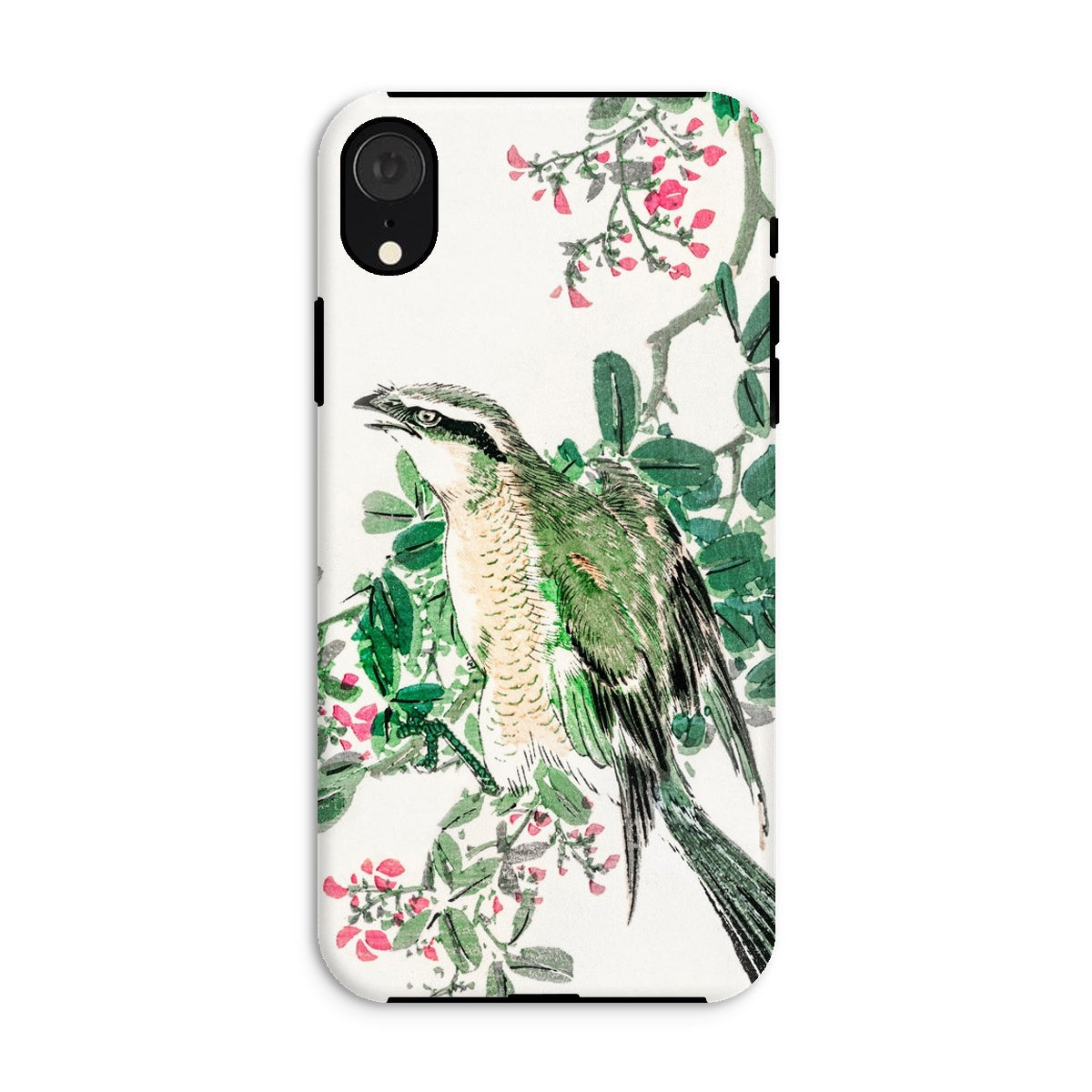 Shrike and Clover Numata Kashu Meiji Iphone Case, Xr / Matte, Phone Case Watercolor Style Painting Bird Perched Among Green