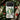 Shrike and Clover - Numata Kashu Meiji Phone Case, Green-feathered Surveys, Bird Art