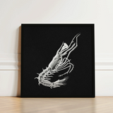 Shrimp - Ernst Haeckel Marine Life Art Print / Canvas Black-framed Artwork Detailed White Line Black Background, Crustacean Specter