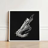 Shrimp - Ernst Haeckel Marine Life Art Print / Canvas Detailed White Line Black Background Framed Simple, Crustacean Specter Materializes,