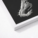 Shrimp - Ernst Haeckel Marine Life Art Print / Canvas Detailed White Chalk-drawn Illustration Black Background Framed, Crustacean Specter