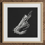Shrimp - Ernst Haeckel Marine Life Art Print / Canvas Detailed White Chalk Prawn Black Paper Framed Light Ernst Haeckel, Crustacean Specter